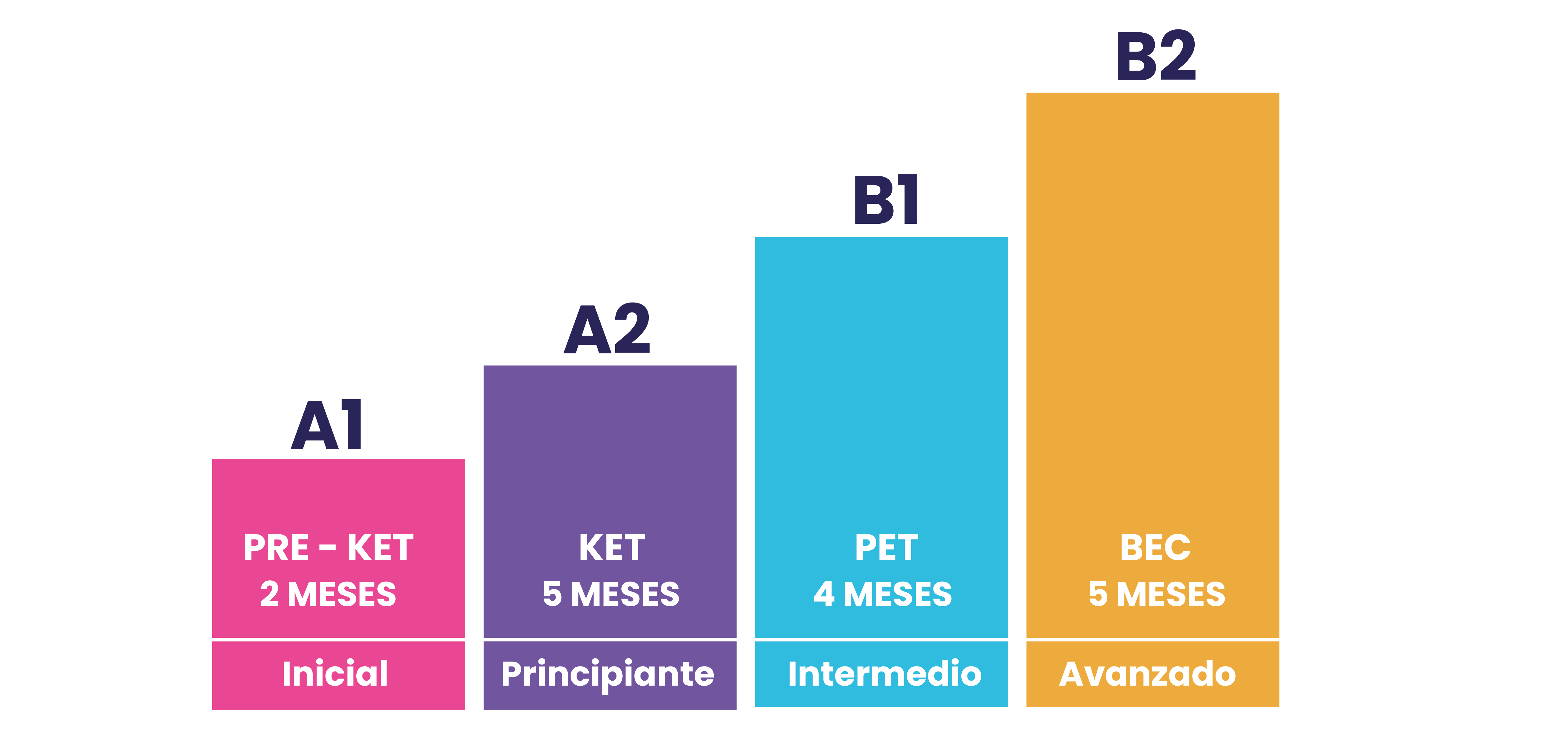 Odoo CMS - una imagen grande